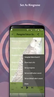 Peregrine Falcon Sounds android App screenshot 1