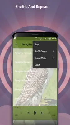 Peregrine Falcon Sounds android App screenshot 3